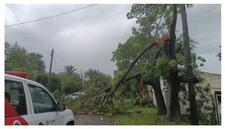 Fuerte temporal en el AMBA: inundaciones, destrozos y miles de usuarios sin luz