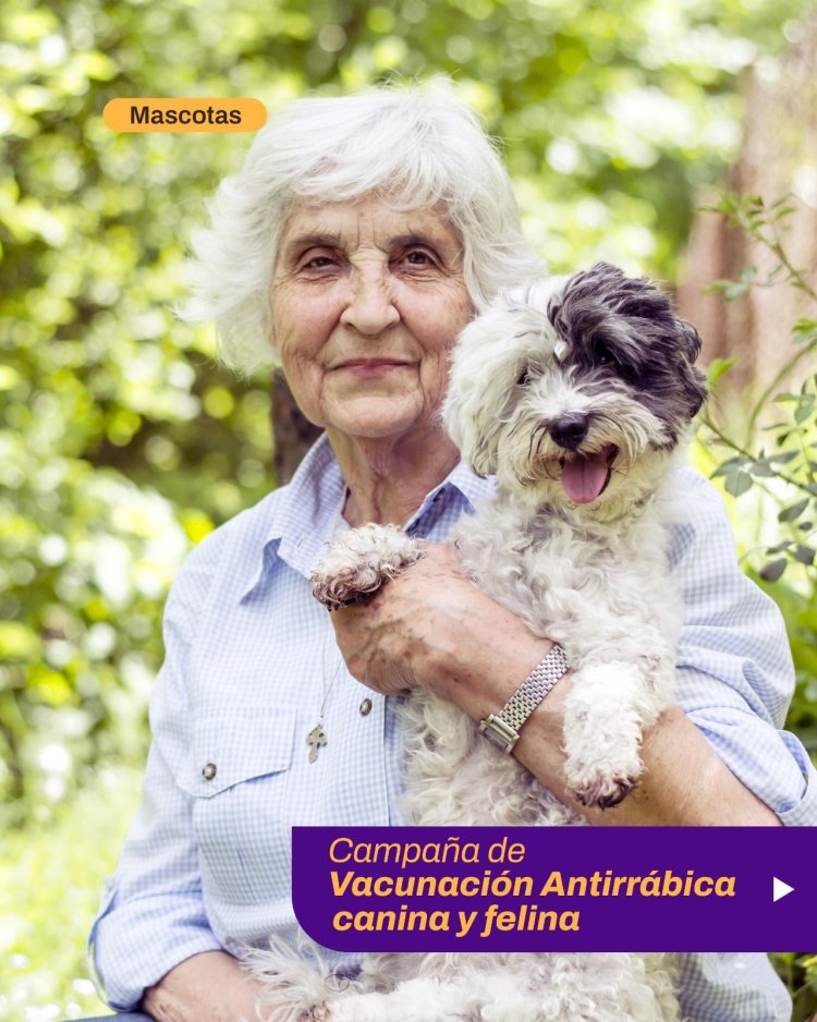 Vacunación antirrábica gratuita para perros y gatos en Plaza Sagrada Familia