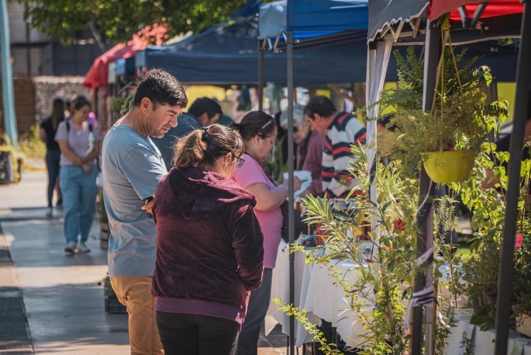 La Feria Agroproductiva regresa a la Plaza De La Libertad
