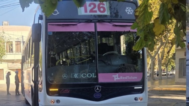 Murió la mujer atropellada por un colectivo de la Red Tulum