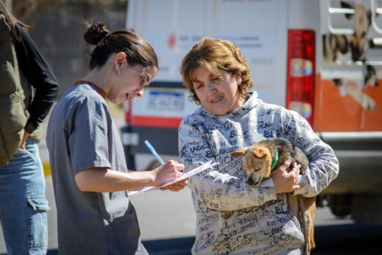 Ambiente brindará esterilización y vacunación gratuita en Rivadavia y Pocito