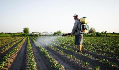 Productores sanjuaninos podrán comprar agroquímicos con una línea de créditos