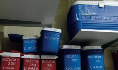 El Incucai comenzará a cobrar los estudios y prácticas previos a un trasplante