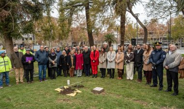 el Olivo de la Paz renovó el compromiso de diálogo y respeto mutuo