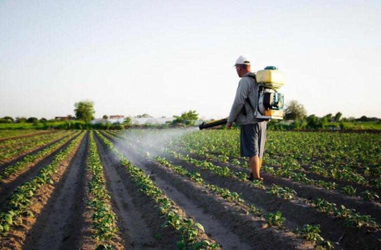 Productores sanjuaninos podrán comprar agroquímicos con una línea de créditos