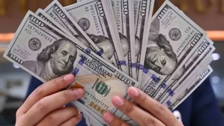El dólar se mantiene en su nivel más alto en lo que va del año