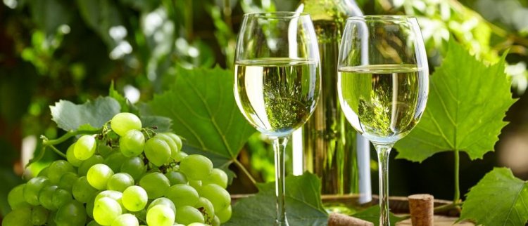 San Juan y Mendoza planifican estrategias para posicionar el varietal torrontés
