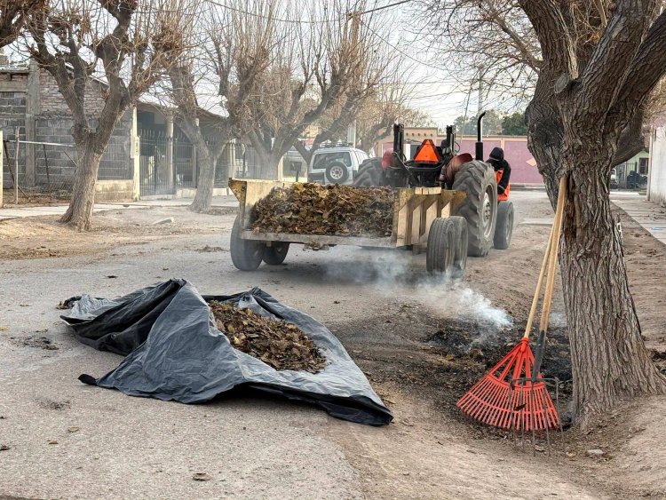 9 de Julio: Operativo integral de limpieza y servicios en Villa Cabecera