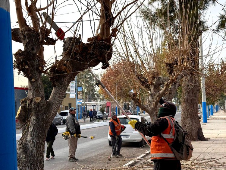 9 de Julio: Operativo integral de limpieza y servicios en Villa Cabecera