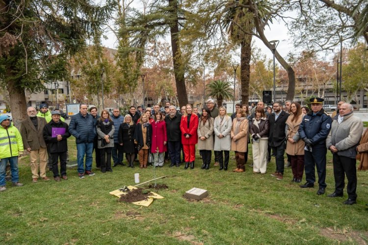 El Olivo de la Paz renovó el compromiso de diálogo y respeto mutuo