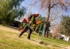 Capital: continúan las tareas de limpieza de plazas y espacios verdes