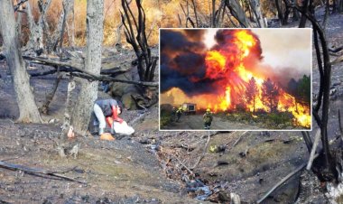 Un estudio comprobó que los incendios forestales alteraron la calidad del agua en la Patagonia