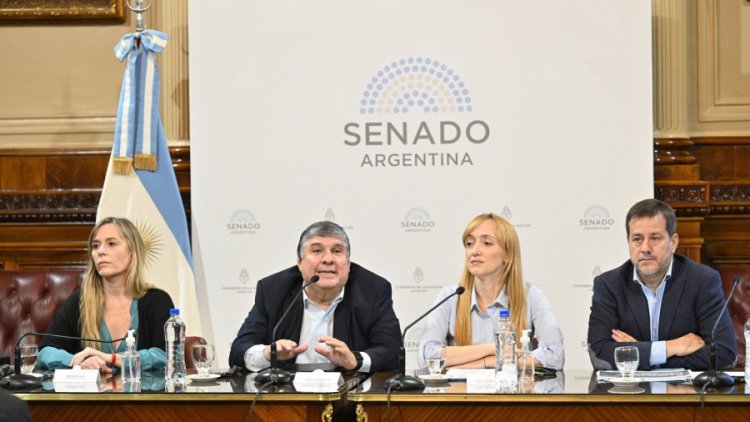 El oficialismo presentó en el Senado un proyecto para regularizar deudas previsionales