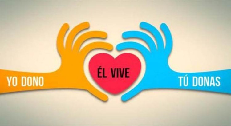 El Incucai realizó más de 1.300 trasplantes de órganos y córneas en lo que va del año