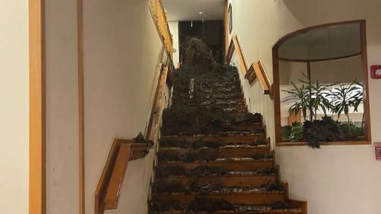 Alud en Bariloche: hallaron  los cuerpos de los turistas desaparecidos