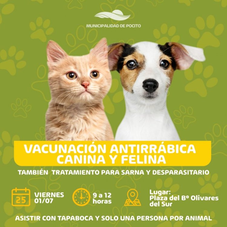 Pocito vacuna tu mascota