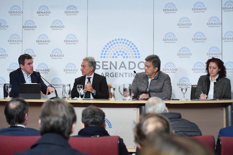 Industria Automotriz: El presidente de ADEFA expuso en el Senado