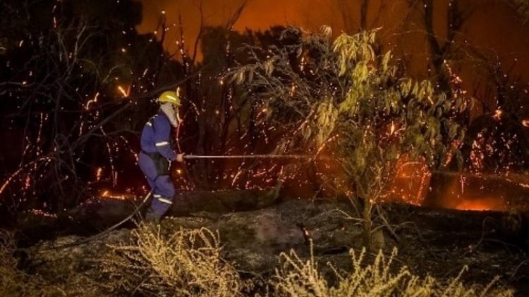Absolutamente todo el Parque Sarmiento se vio afectado por el fuego
