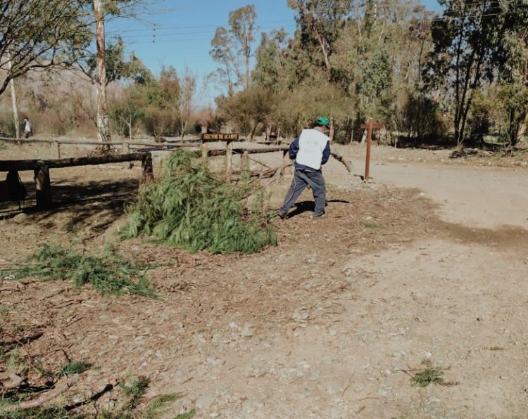Trabajan para prevenir futuros incendios en el Parque Sarmiento