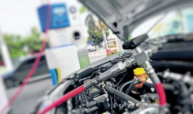 Normalizan expendio de GNC