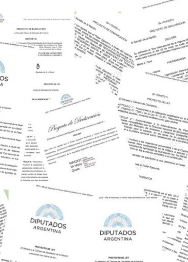 Cuáles fueron los senadores y diputados más prolíficos en la primera mitad del año 2022