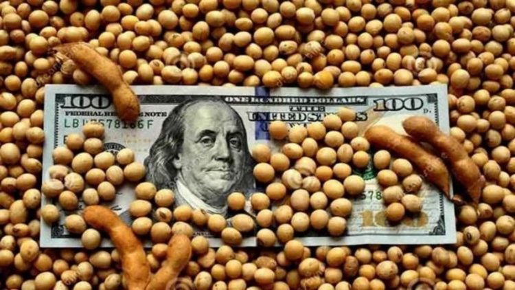 Massa anunciará un nuevo dólar?