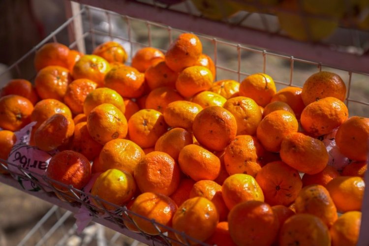 Conocé los precios máximos de referencia en frutas y verduras de septiembre