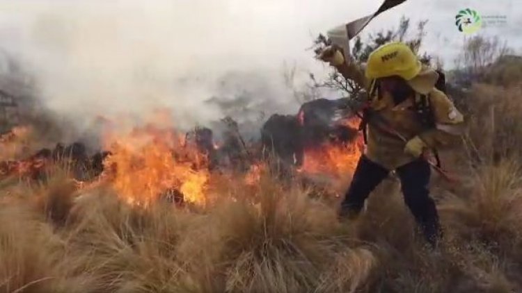 Evacuaron alumnos de  escuelas en Sierra de Chávez