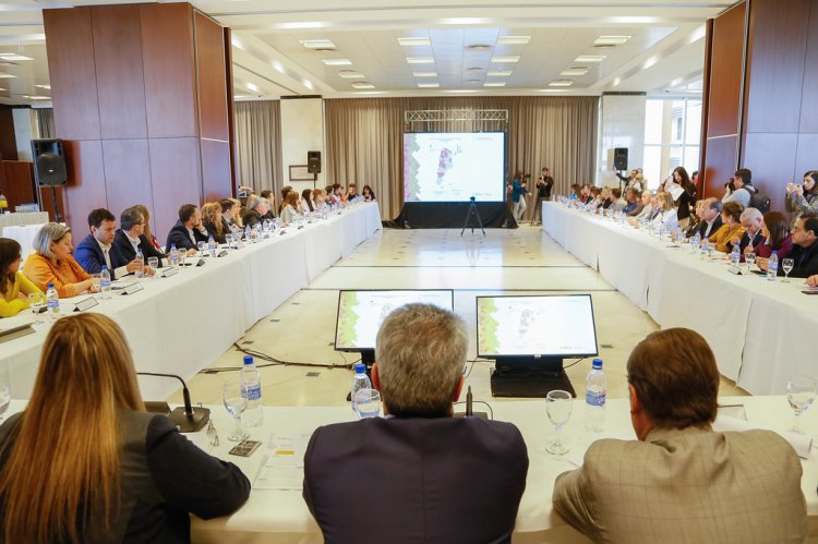 San Juan creó una Red de Abordaje Integral para Prevención del Suicidio