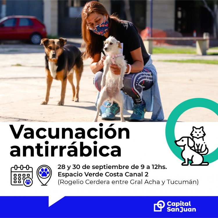 Vacunación antirrábica: conocé los 4 puntos de abordaje gratuito en Capital