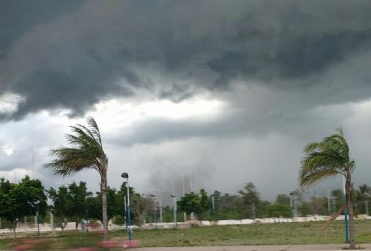 Alerta por fuertes vientos del norte