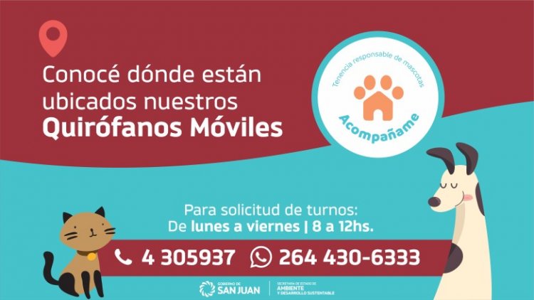 Conocé los próximos destinos de los quirófanos durante octubre