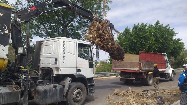 24 camionadas de mugre retiraron en Concepción