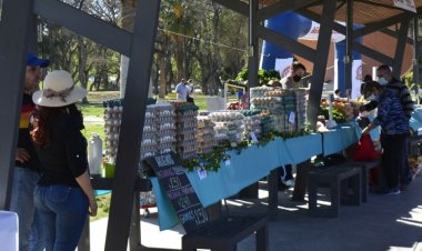 Este sábado la Feria Agroproductiva cambiará de lugar