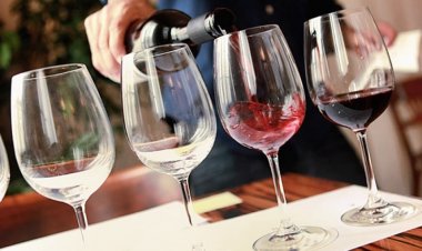 34ª Cata de Vinos San Juan