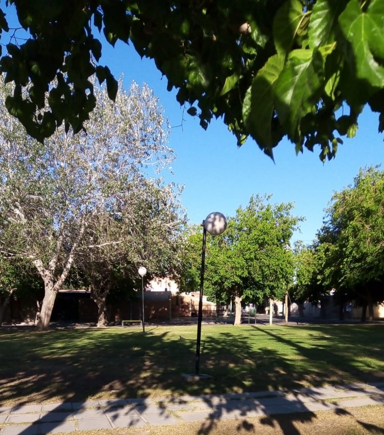 Por actos vandálicos Rivadavia tuvo que reponer 160 luminarias