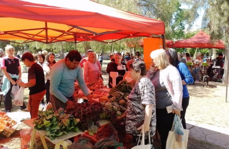 El camión de frutas y verduras vuelve a Caucete