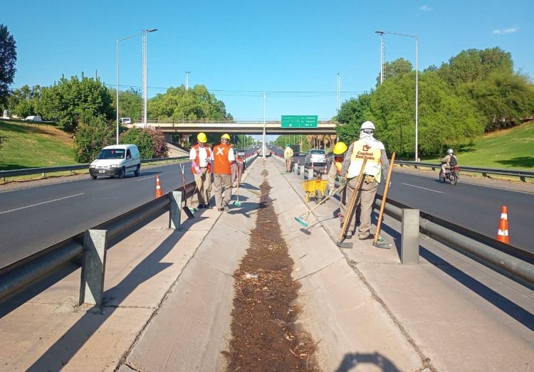 Capital retomó la limpieza general en avenida de Circunvalación