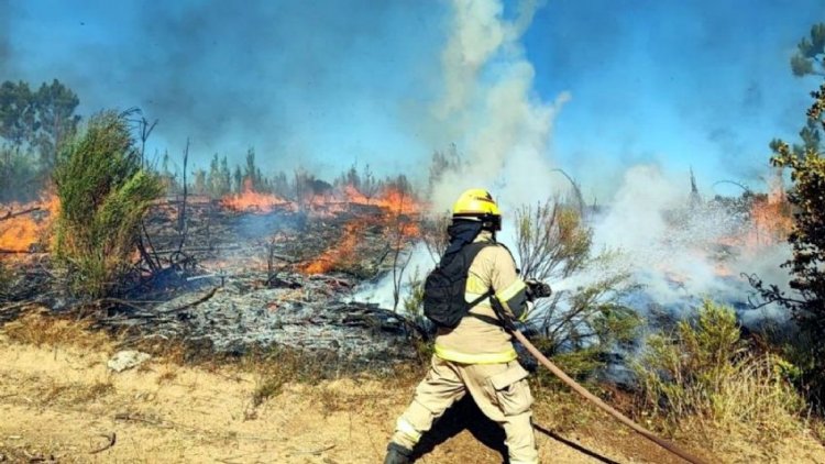 Chile bajo una ola de incendios forestales