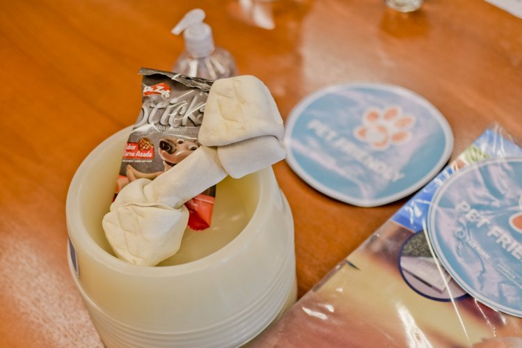 Primera feria provincial de adopción responsable de mascotas