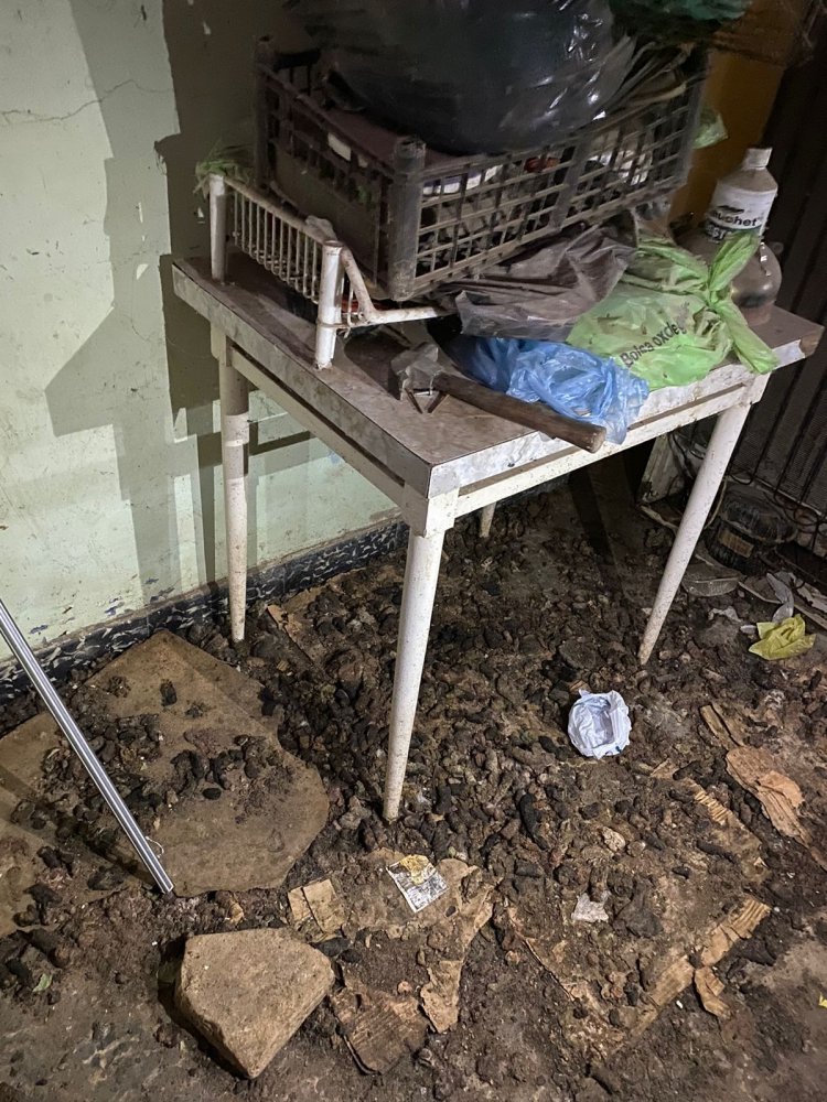 Casa del terror:  animales  encontrados en estado de abandono en  Santa Lucía