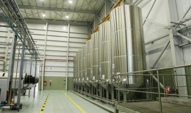 Inauguran la planta de aceite de oliva más importante de la región