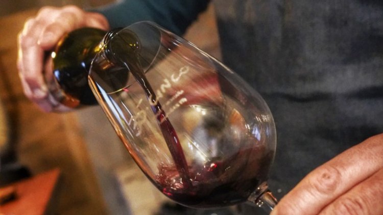 Viví la Noche de las Vinotecas