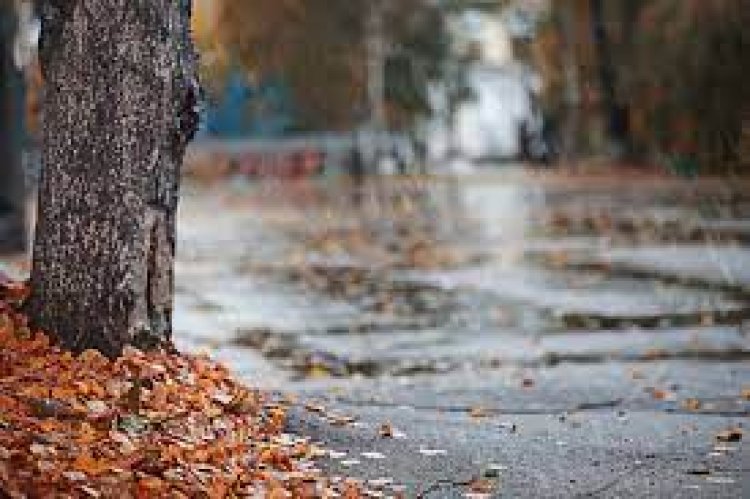 Alertas por fuertes ráfagas de viento sur. Lluvia?