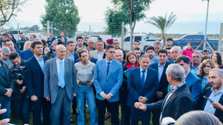 Invertir en conocimiento para elaborar cannabis medicinal