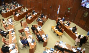 Nueva estructura de la Cámara de Diputados