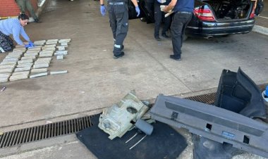 Un perro de la Aduana halló varios paquetes de cannabis valuado en $33 millones