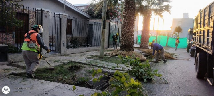 Mirá en qué zonas de Capital levantarán escombros