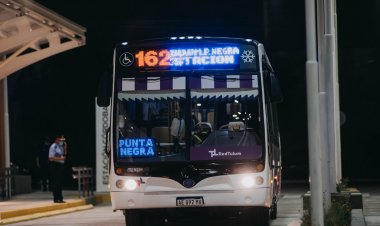 En San Juan el servicio de transporte público será normal