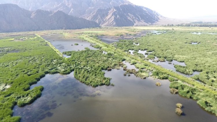 El Parque Presidente Sarmiento ya cuenta con su Plan de Manejo